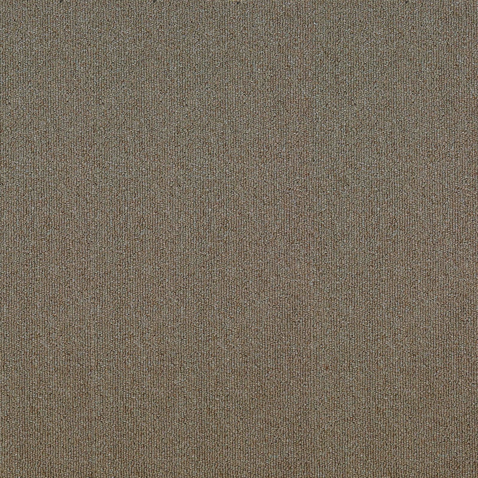 F8_Beige | Beige