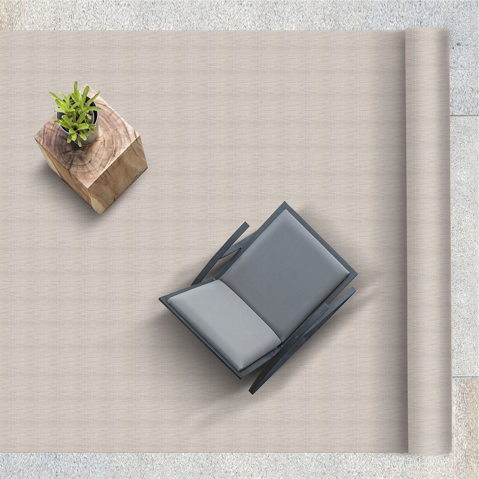 T1_Palermo | Palermo