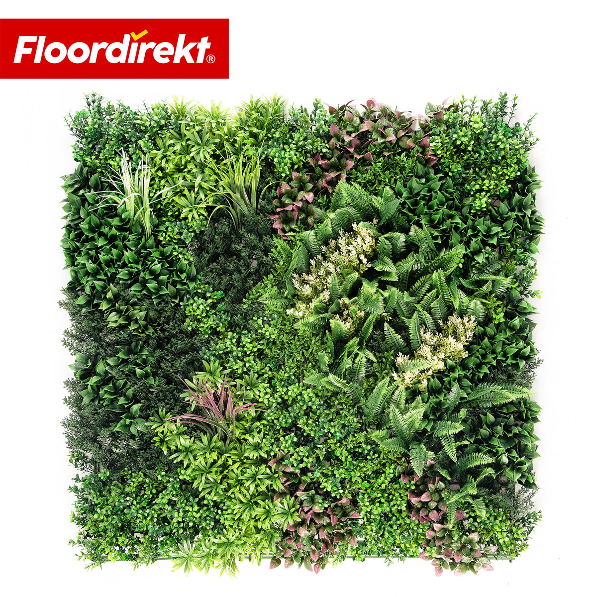 Pflanzenwand | Hera | Natürliches, pflegefreies Kunstpflanzen-Panel | Sonnenbeständig & erweiterbar mit Klick-System | 100 × 100 cm