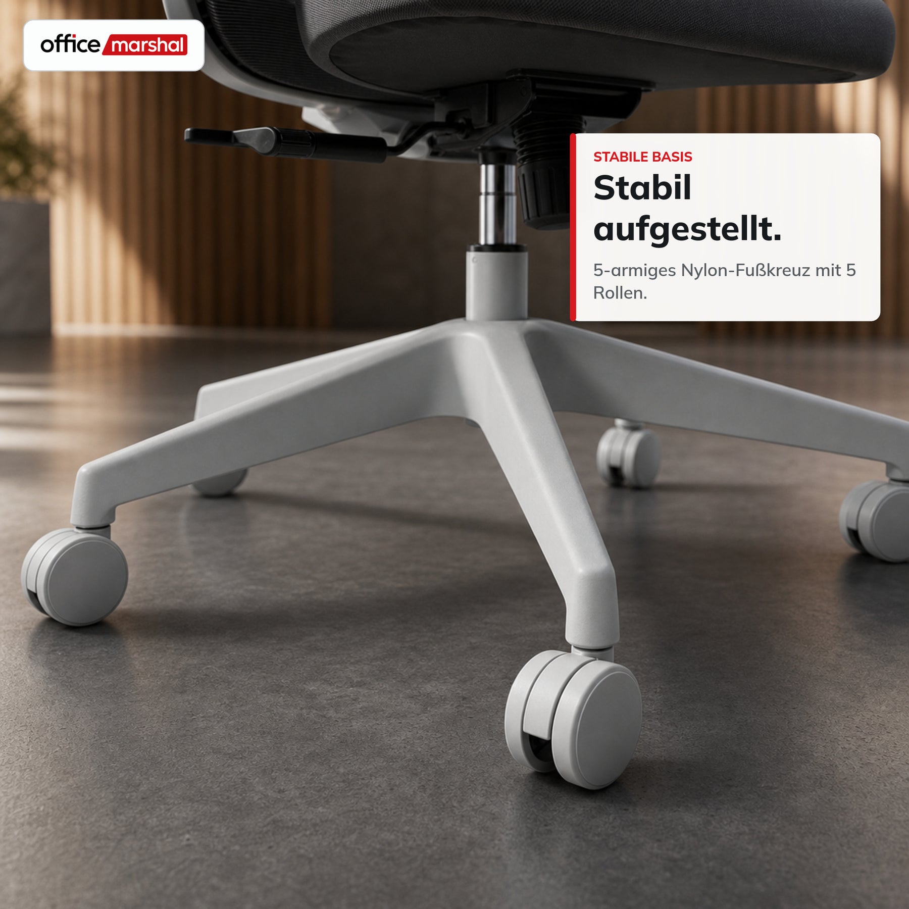 T11_Grau