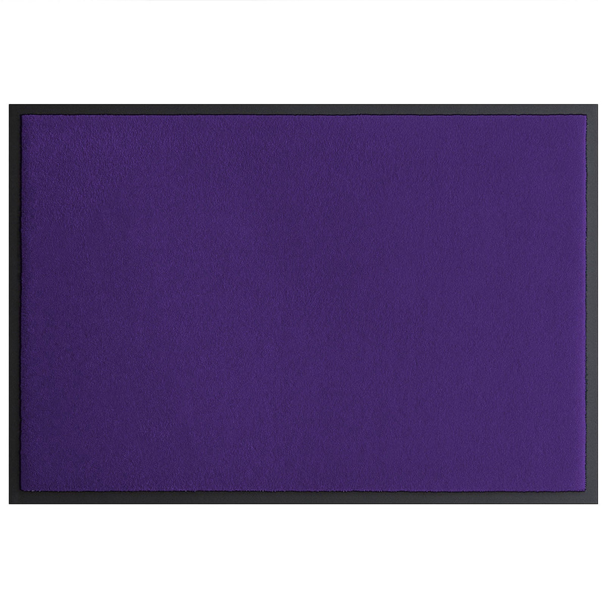 F1_CM61 - Aubergine