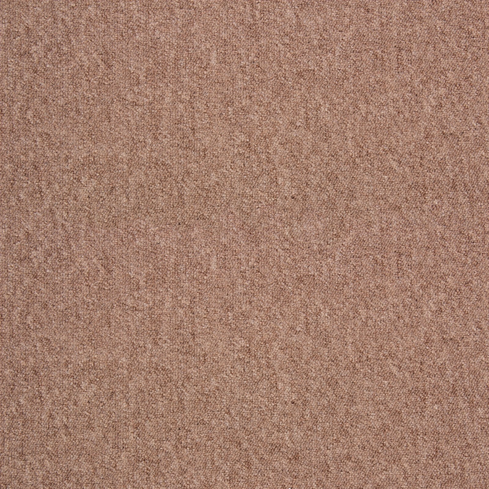 F3_Beige | Beige