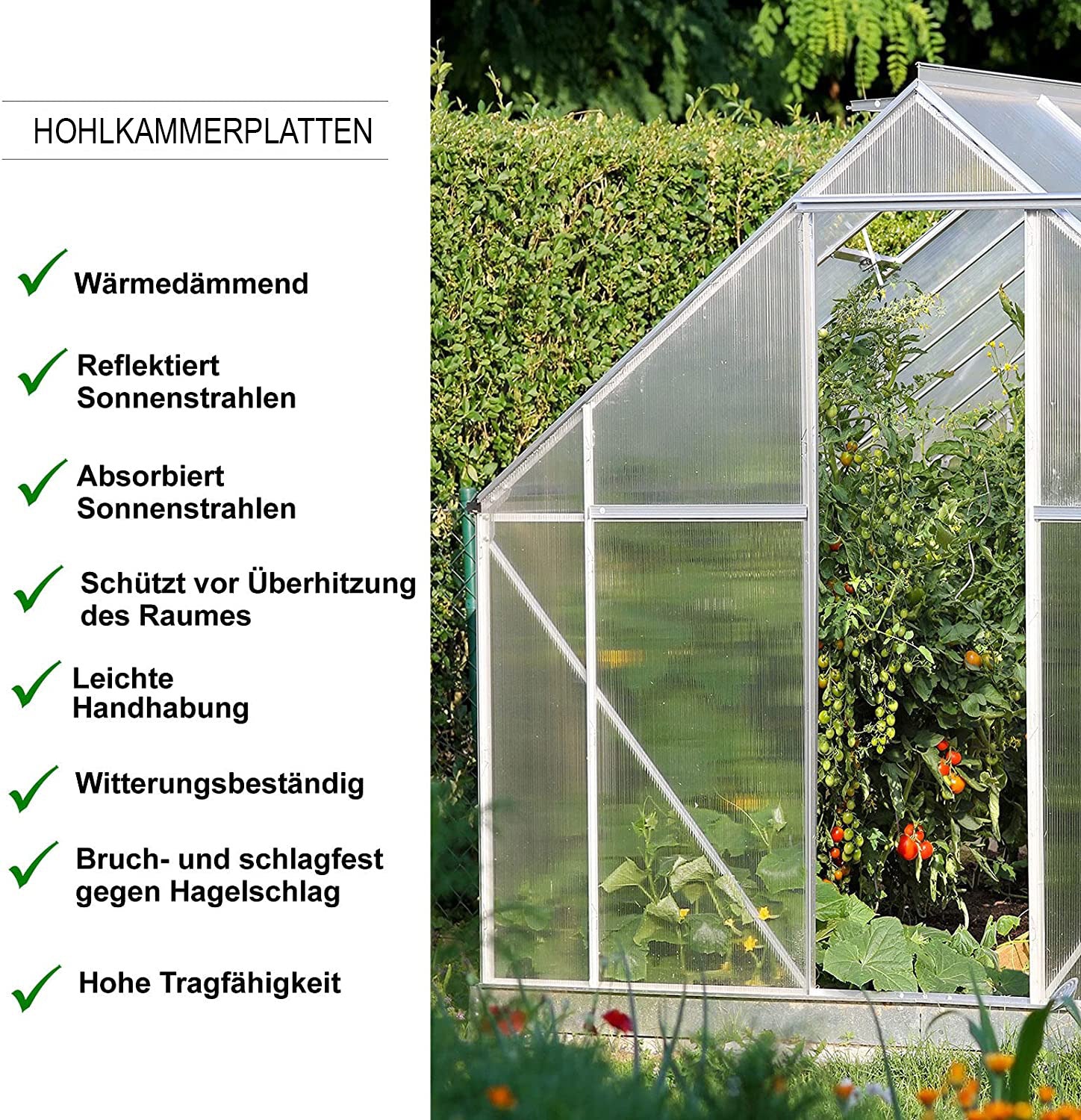 Doppelstegplatte | 60,5 x 121 cm | Polycarbonat | Für Gewächshaus & Überdachung