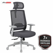 F1_Grau