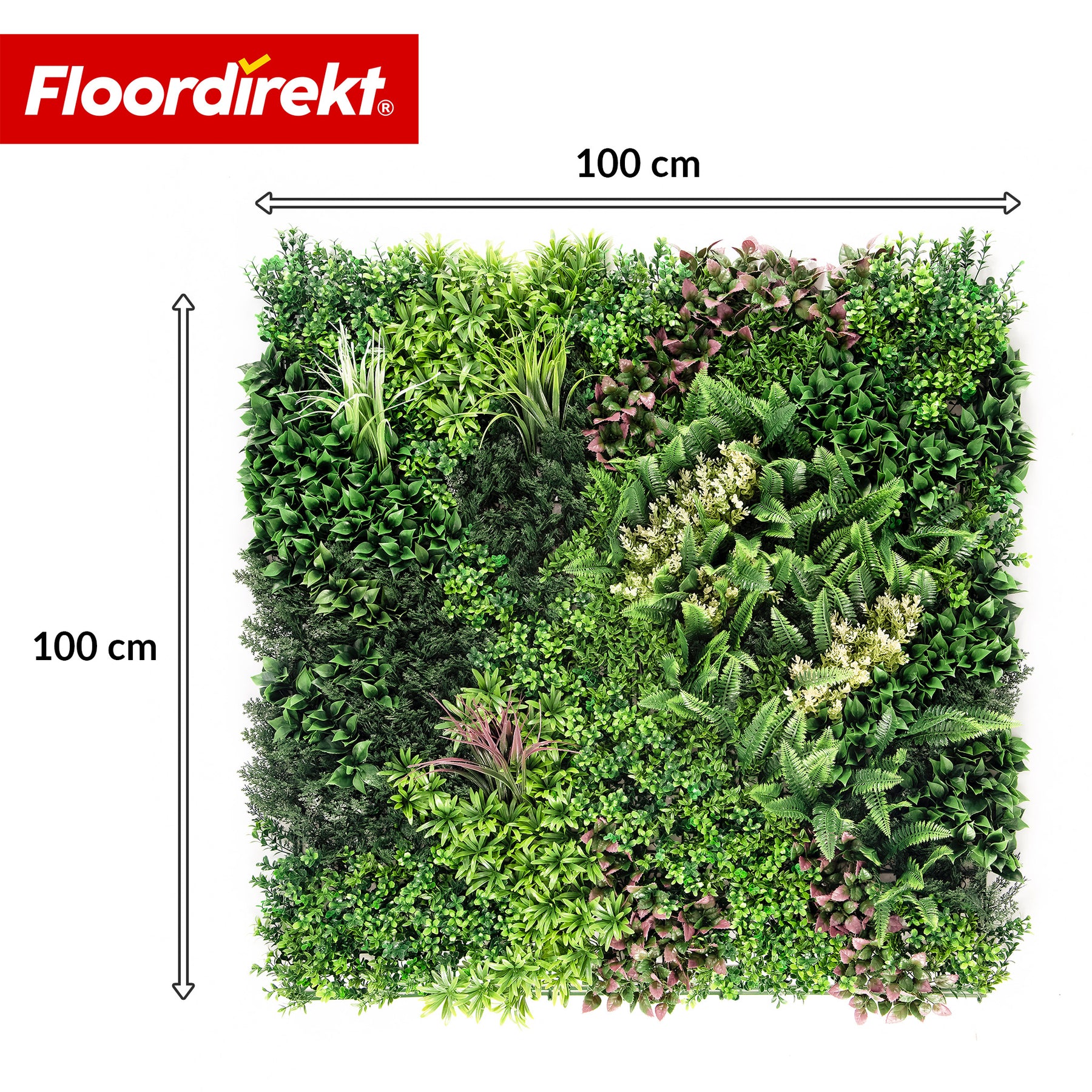 Pflanzenwand | Hera | Natürliches, pflegefreies Kunstpflanzen-Panel | Sonnenbeständig & erweiterbar mit Klick-System | 100 × 100 cm